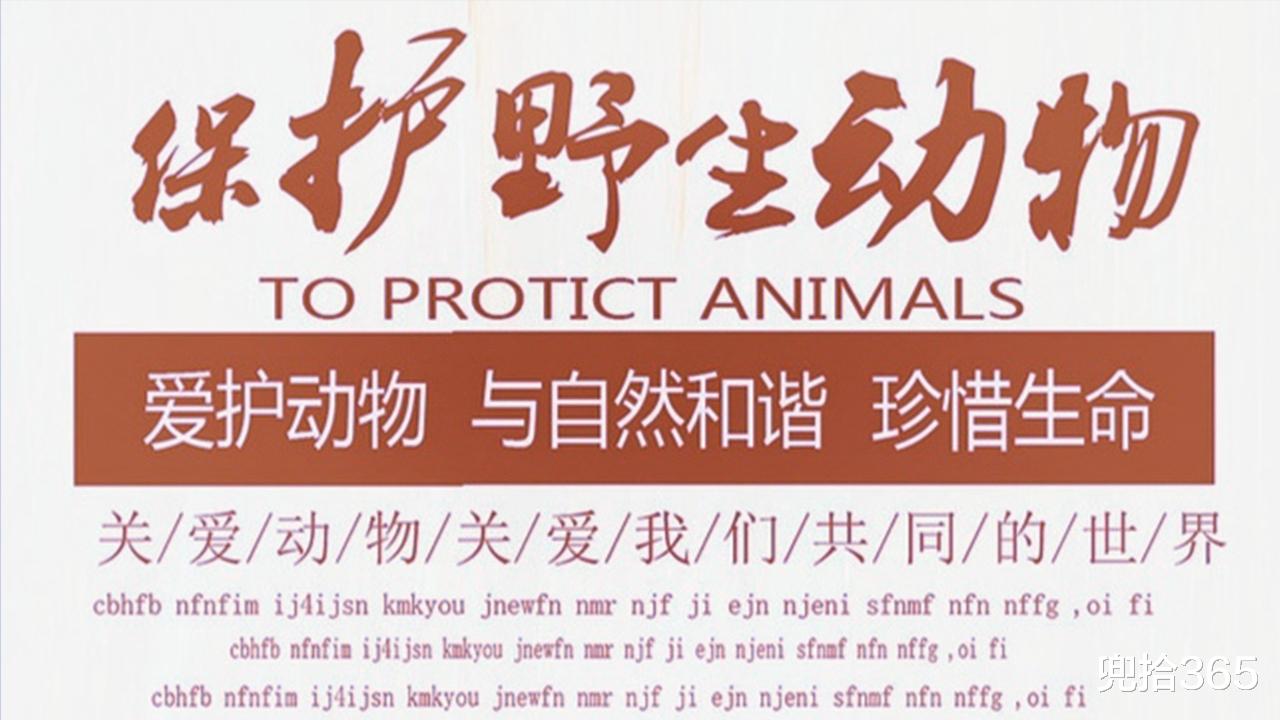 嘉陵江|四川4名男子组团夜钓，意外收获1条四脚鱼，得知身份后赶紧放生