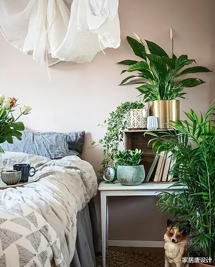 建议大家：卧室床头要做到“5不摆”，不是迷信，是过来人的经验