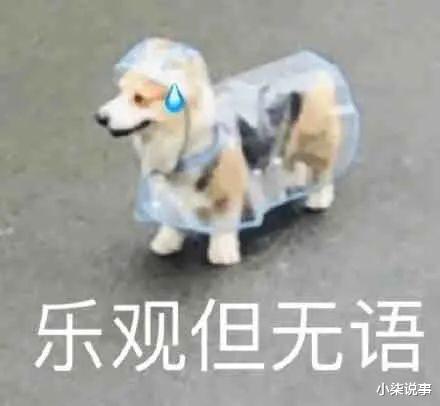 窦骁|新晋“下头”情侣?当面一套背后一套好可笑