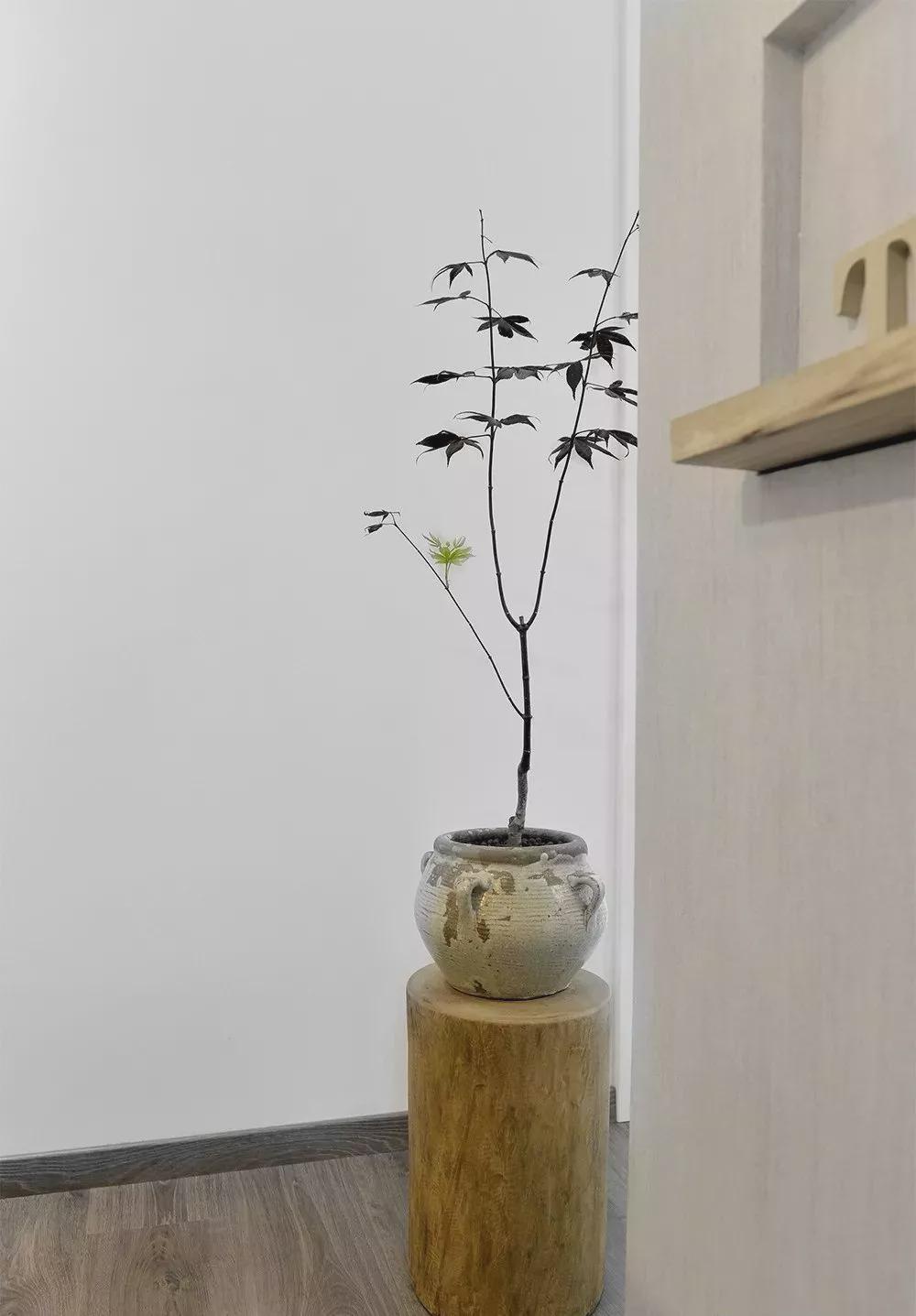 客厅|86㎡鸡肋户型神奇大改造，空间利用率竟提升了百分之60