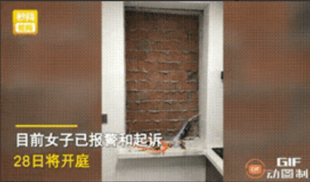辽宁锦州，一名女子去自家不经常住的一套房打扫卫生