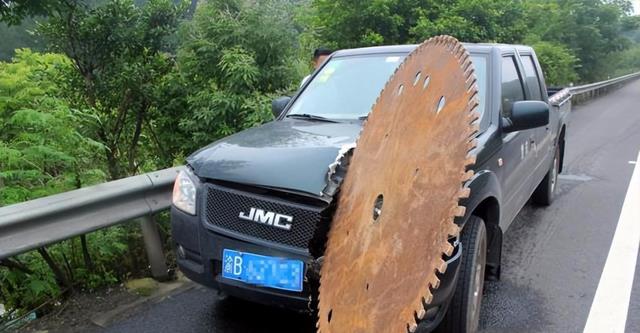 森林公园|40个让人敬畏的巨物