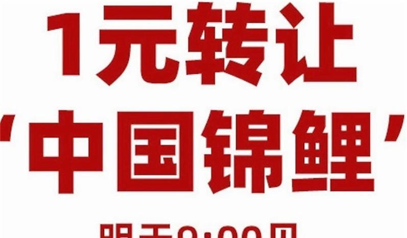 “锦鲤女孩”信小呆：当年中奖一个亿，为何如今沦为“诈骗犯”？