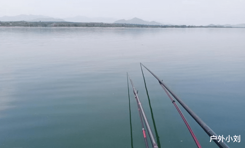|夏季野钓,垂钓草鱼技巧总结,助你在夏天钓大鱼