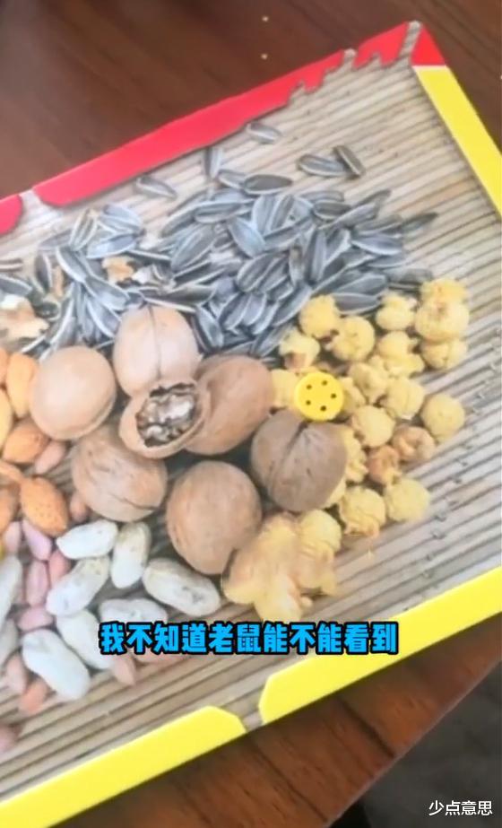 山东一女子网购粘鼠板,收货后发现商家“画大饼”,忍不住大笑