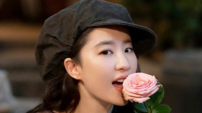 去有风的地方|《去有风的地方》高开高走，凭什么一口气甜到大结局？