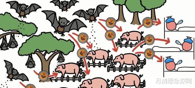 埃博拉、尼帕，蝙蝠随身携带4100多种超级病毒，可以让它灭绝吗？