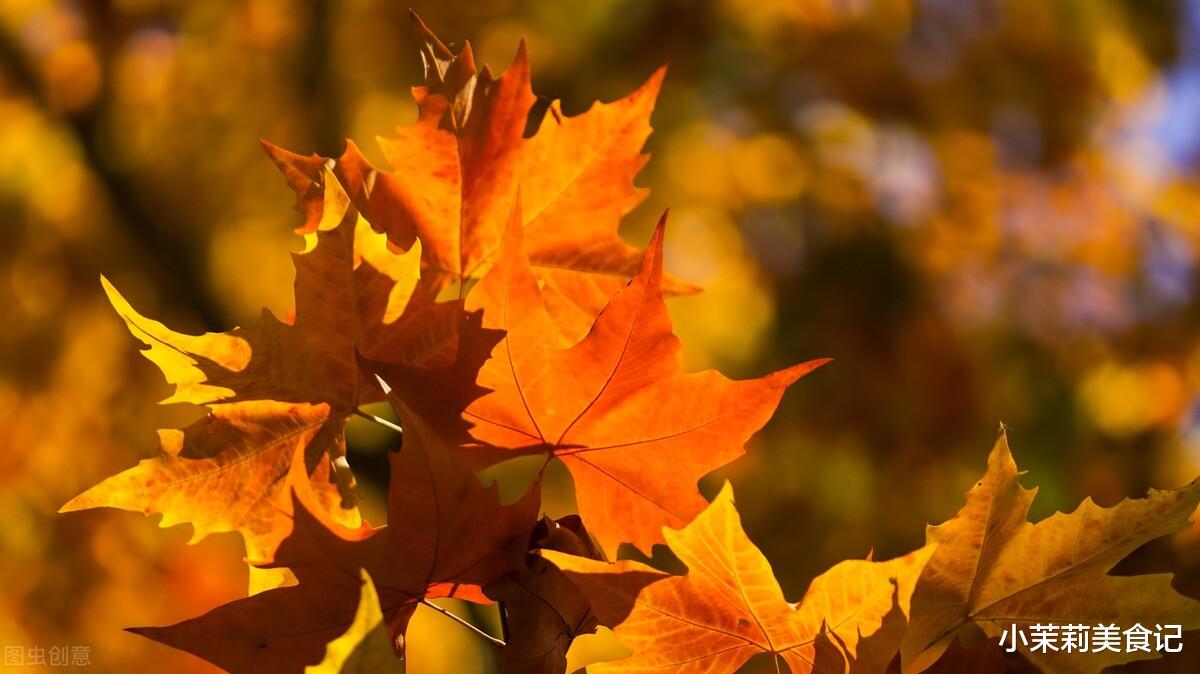银耳|肺脏最爱的5种食物，建议每天吃点，生津润燥敛肺气，秋冬多受益