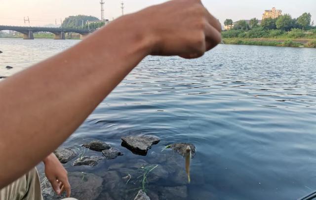 饵料|钓鱼人越来越“累”了!摒弃错误观念,才能重新找回垂钓乐趣