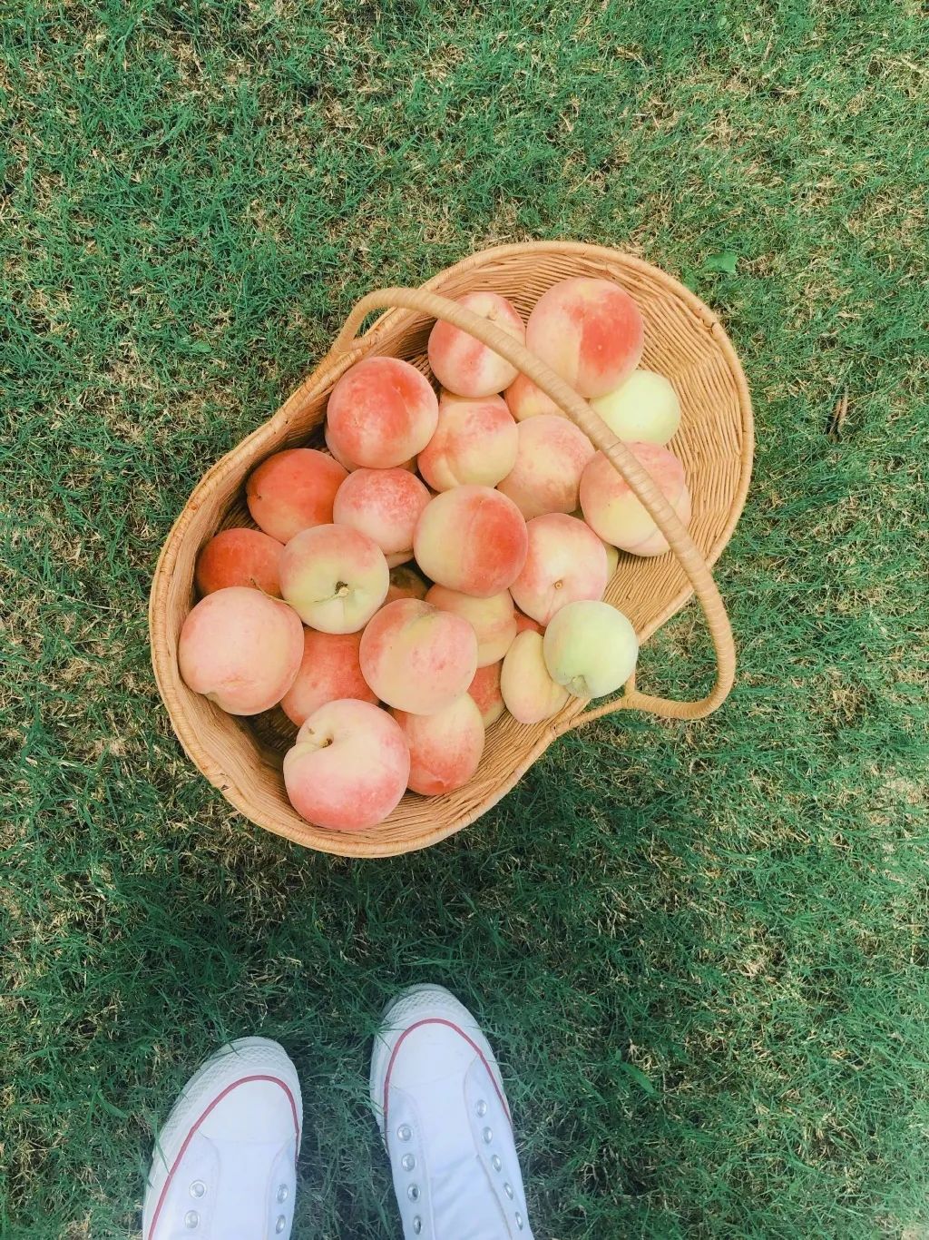 张馨予|离开李晨8年后，张馨予4000万后花园火了：终于活成了别人羡慕的模样