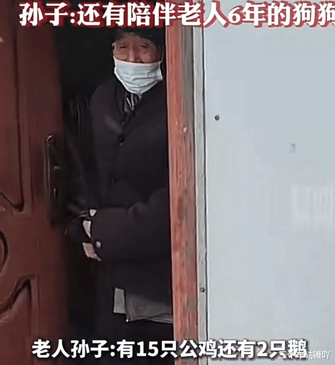 85岁老人养的鸡鹅狗一夜之间被偷走,孙子:无收入来源,狗狗陪伴了6年。