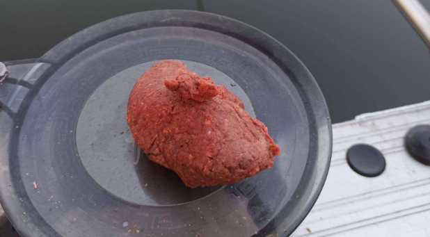 饵料|用商品饵冬钓只能用拉饵?这种情况下搓饵效果更好