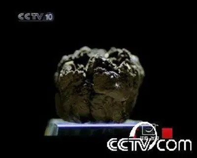 风味的奥秘 | 一坨泥巴为何被称为“微生物黄金”?