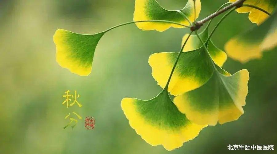 |干了这碗“秋分汤”，一年绝对不白忙！