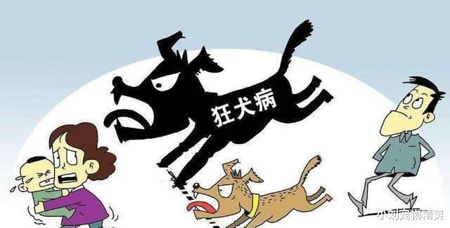 男子翻墙盗窃被狗咬死,家属索赔66万,你认为合理吗?