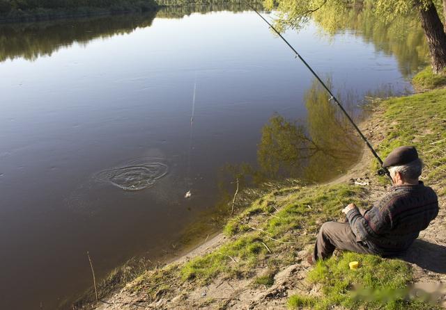饵料|细说春季野河钓鲫,要想爆护一定要灵活多变