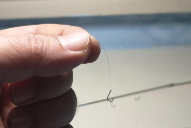 灵敏度|冬钓鲫鱼选长子线还是短子线?这些特性了解后,孰优孰劣一目了然