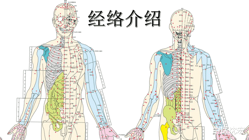 降压药|经络不通百病生,拍打这8个窝,打通全身经络,从头补到脚