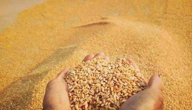 新房|“恭喜”农民朋友!农村将统一处理老房子,但这3种情况没有补偿