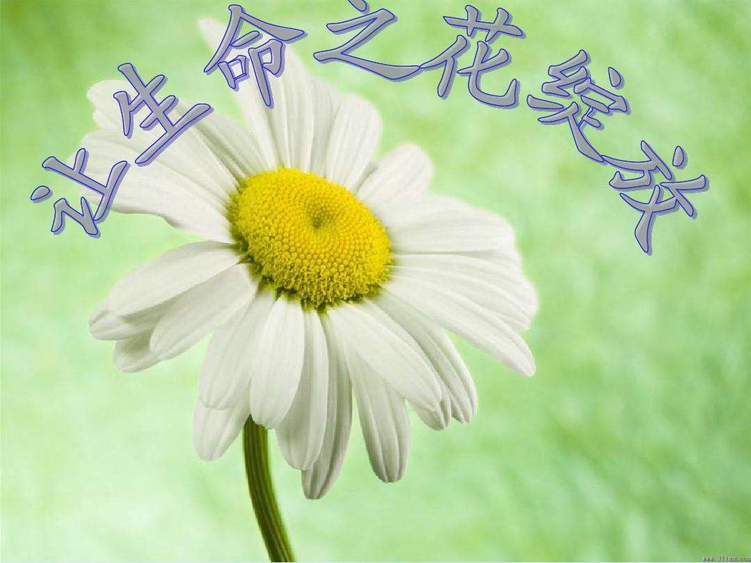 穿衣搭配|“爱”和“责任”在教师职业生涯中是怎样的体现！