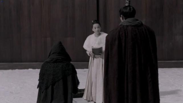 叶轻眉|在《庆余年》中肖恩与苦荷初遇叶轻眉，她说被人追捕，当时叶轻眉遭遇了什么？