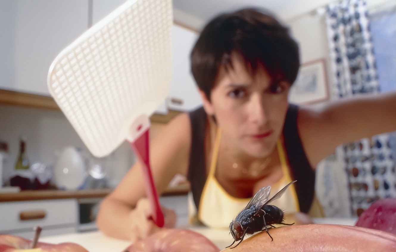 夏天家里苍蝇多很烦人?不用愁,教你3个妙招,让苍蝇离你远远的