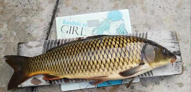 上海市|钓到就加餐?上海男子五楼钓鱼走红,邻居:楼下河里真有鱼