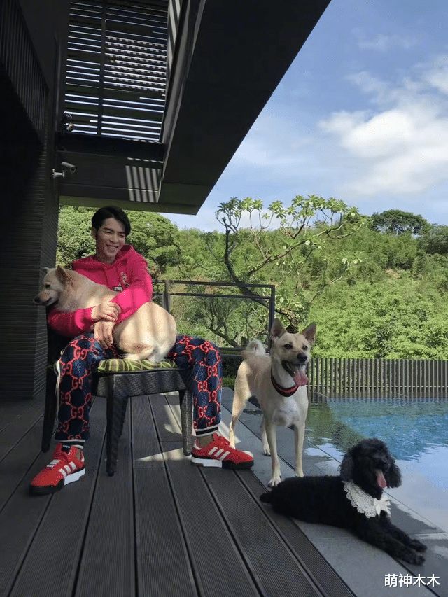 萧敬腾|台星选择差别大：有人长居内地，有人向往韩娱圈，有人七旬还接戏