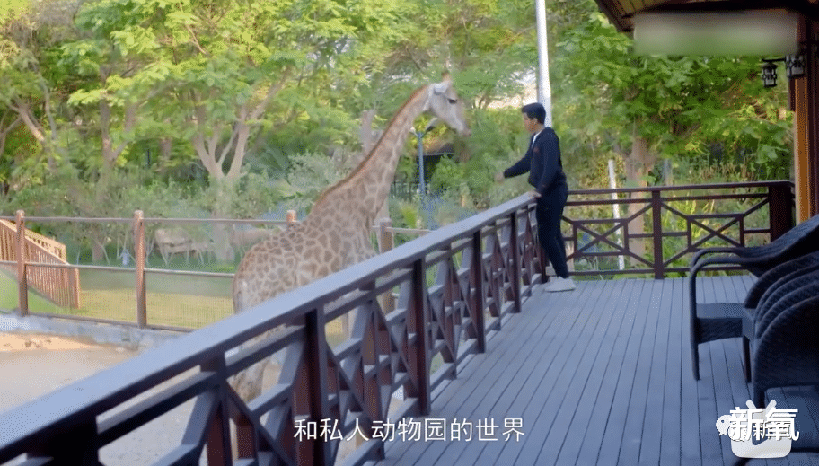 黄瓜 亿万富翁的孩子们都是怎么花钱的？
