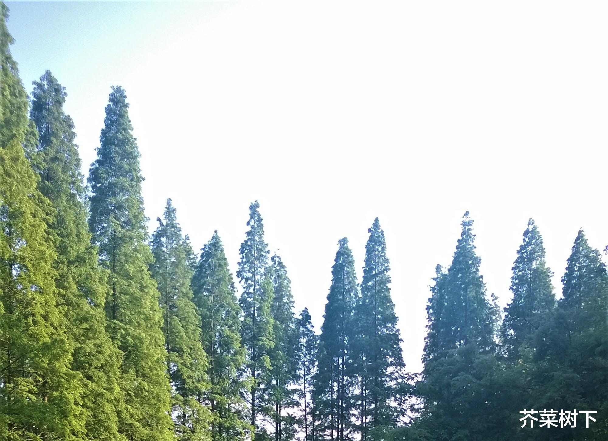 交换机|“敲代码思维”,能解决实际问题吗?