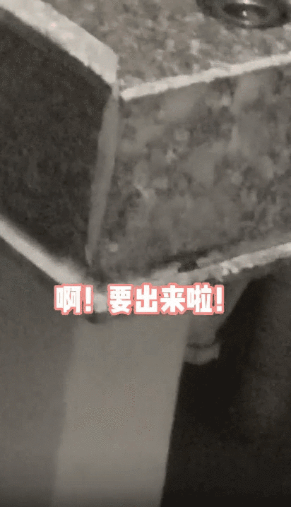 笑翻!广州又一大楼酷似蟑螂,吓坏北方网友:这得要多大的拖鞋
