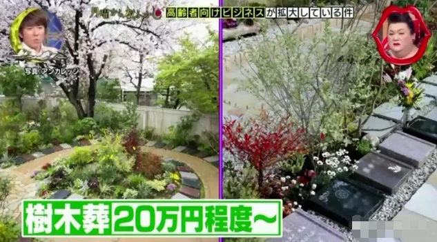 脑洞开到外太空,日本的宇宙葬、砖石葬等各种殡葬方式,给我看呆了!
