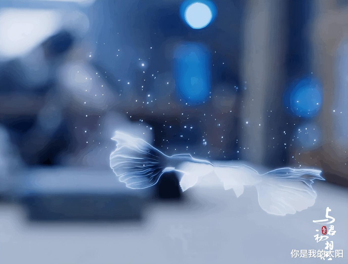 迪丽热巴|《恰似故人归》:迪丽热巴吻戏用鱼替,观众想起《长歌行》的鹦鹉