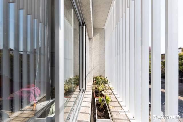 阿根廷狭长型住宅:三个庭院串联内部空间,构筑惬意的家居空间