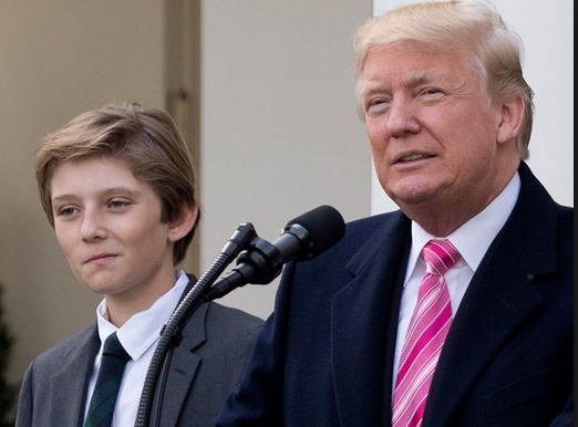 王思聪|王思聪在川普儿子巴伦面前，只是一个暴发户而已！