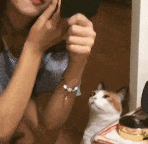 来这家饭店吃烤全羊，才15块一只！当菜端上来时我蒙了...哈哈哈