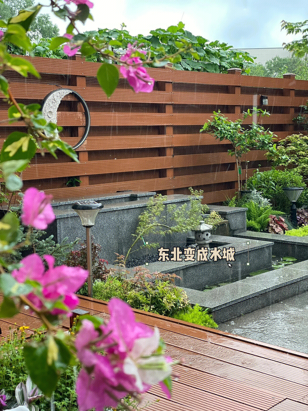 72㎡小院,花园改造经验分享,终于过上了梦寐以求的田园生活