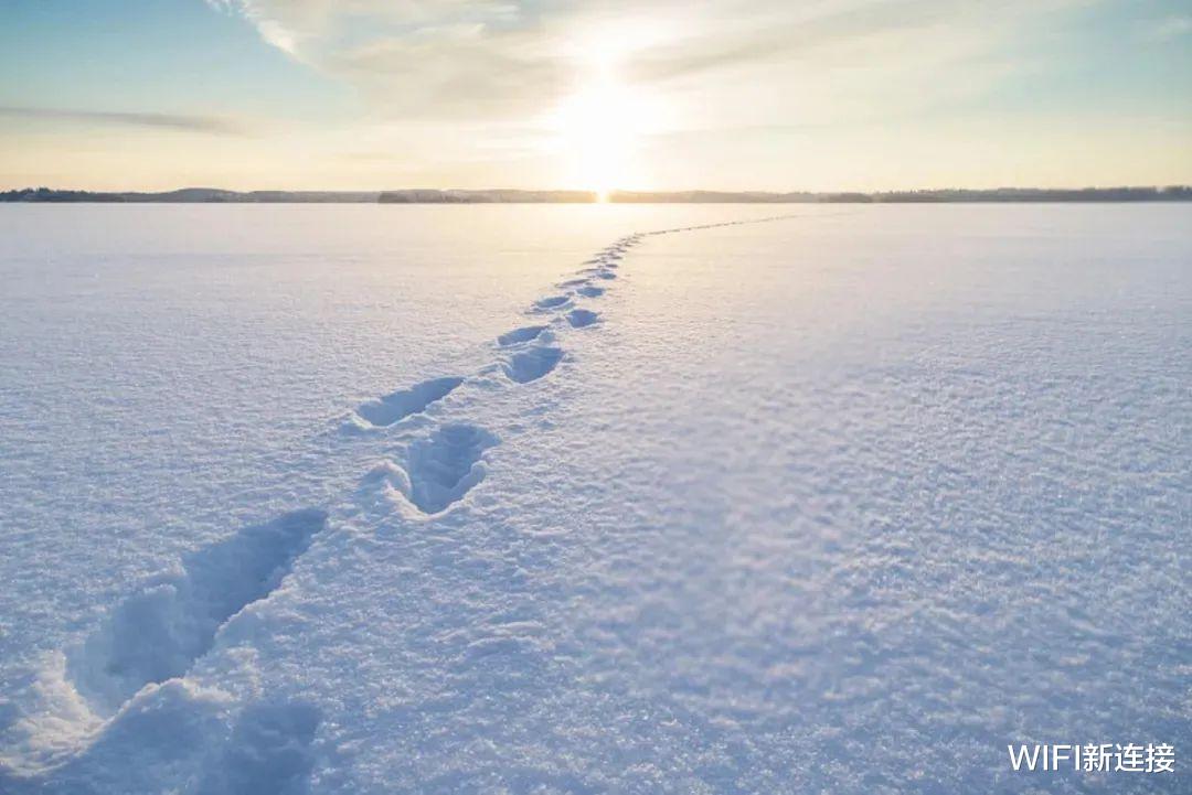 twitch|史上最难618，聚划算逆势“爆破”