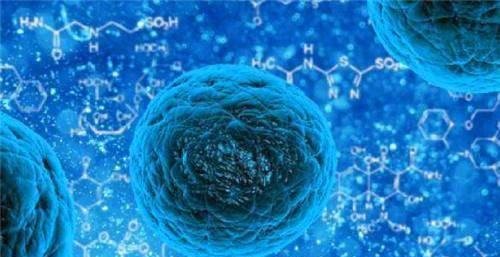 科学家成功复活冻土中的远古病毒,最古老的已有48500年!