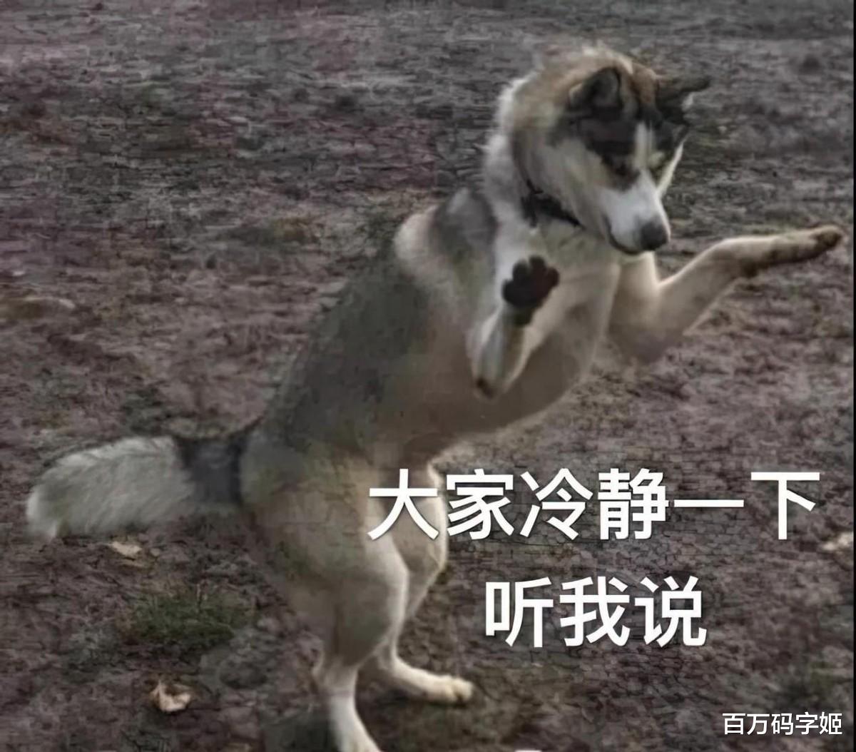 95后|95后打工真实心态:“只要我不努力,老板就过不上他想要的生活”