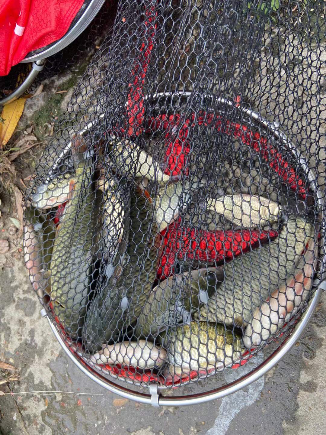 |新手快速调漂,只需三步!