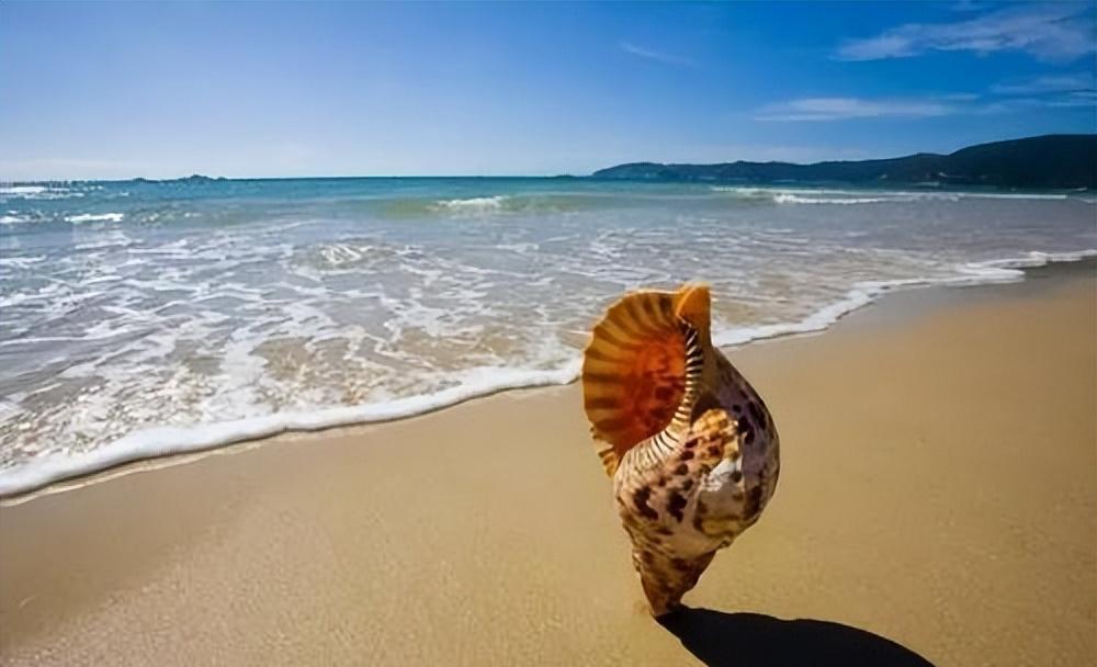 国家公园|物价“低”海滨城市！被誉“东方夏威夷”，30块实现海鲜自由？