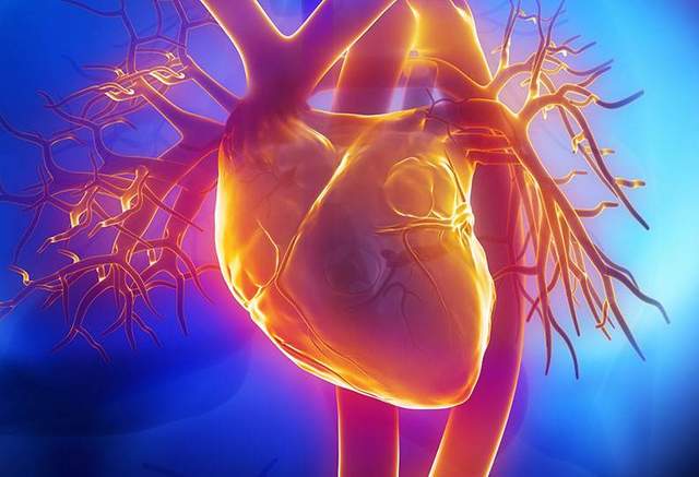 微盟|医疗技术公司艾科脉宣布完成近亿元A轮融资