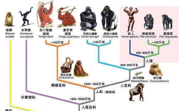 人类和所有生物都存在生殖隔离,这意味着什么?