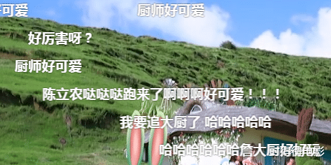 中餐厅|《中餐厅》没想到,5位大明星同台的焦点,竟被一位网红给抢了去