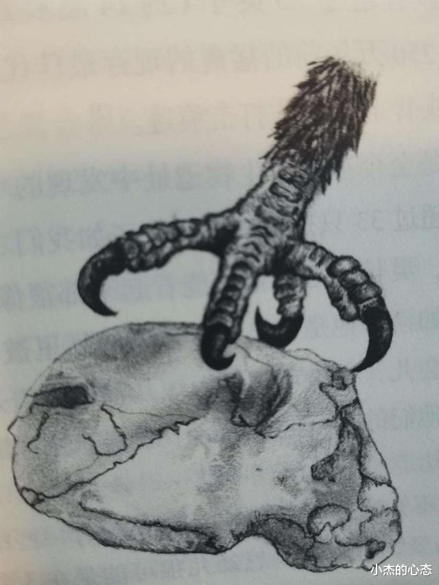 地球上最水火不容的生物,有长达3600万年的深仇,谁能笑到最后?