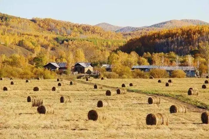 草原|【畅游陇原】这里有条古老的河——后川河
