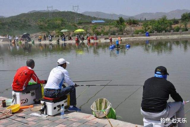 |休闲垂钓“黑坑化”,收费成趋势?给钓鱼人留一片天地吧