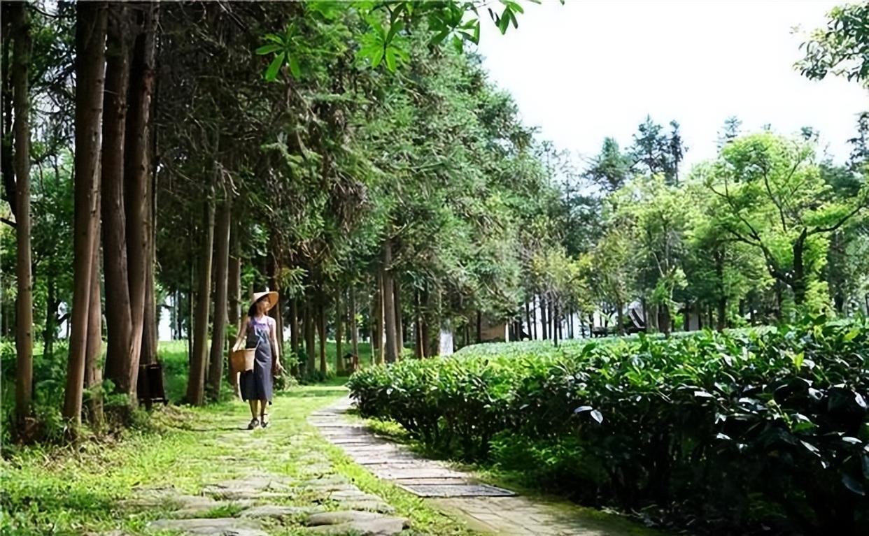 物价|适合养老的几座小城，风景迷人物价低，面朝大海惬意舒缓！
