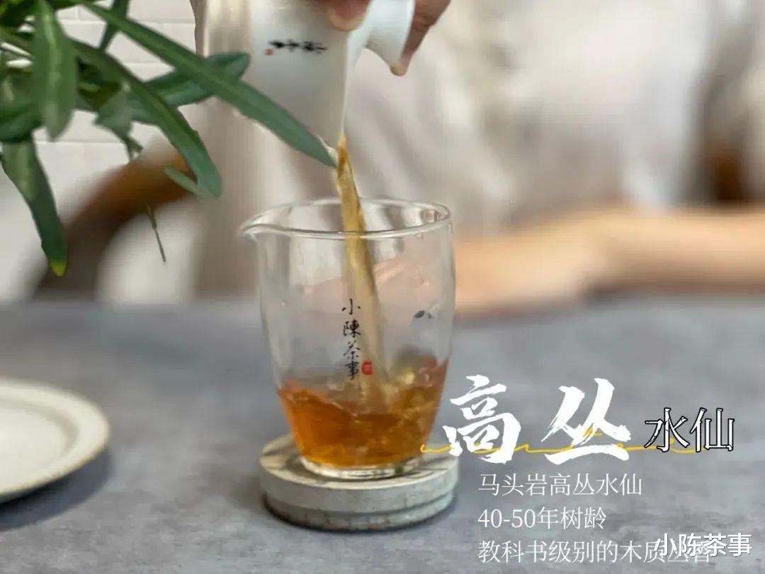 喝武夷岩茶时，为什么总有人爱喝“木本味”的尾水？是更好喝吗？